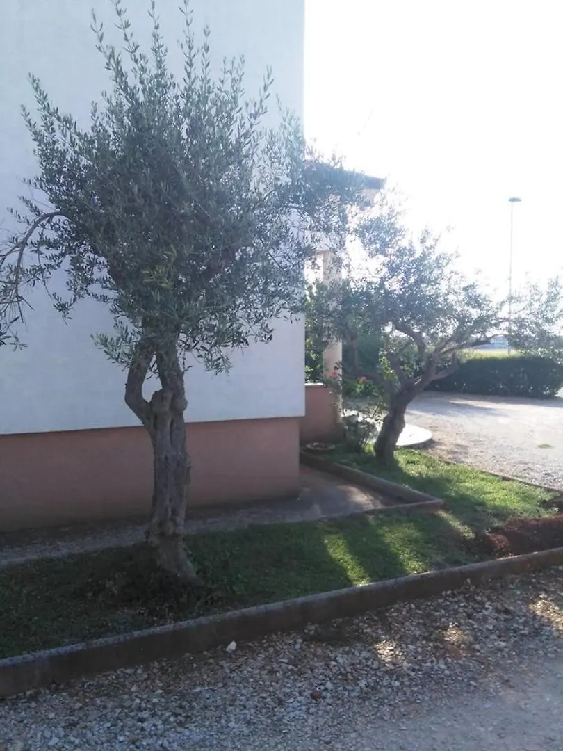 Apartment Narcisa With Terrace Umag